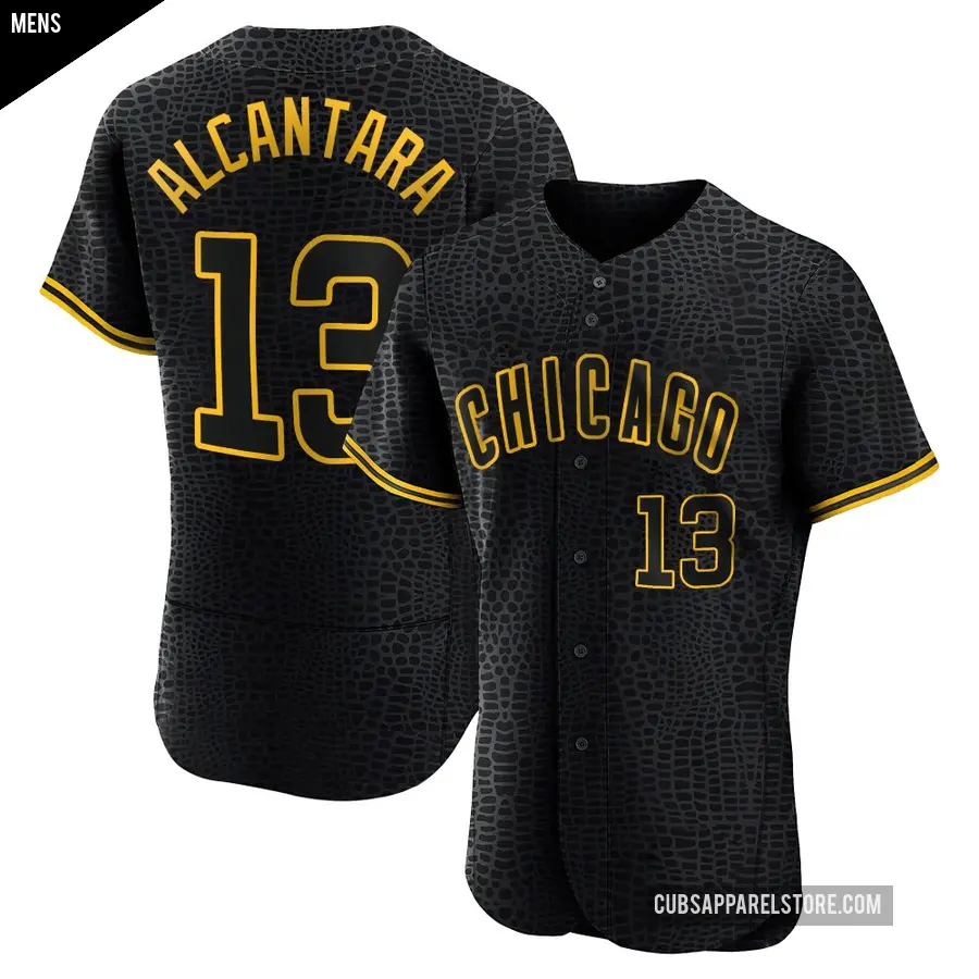 Men's Chicago Cubs ＃13 Kevin Alcantara Authentic Black Snake Skin City Jersey