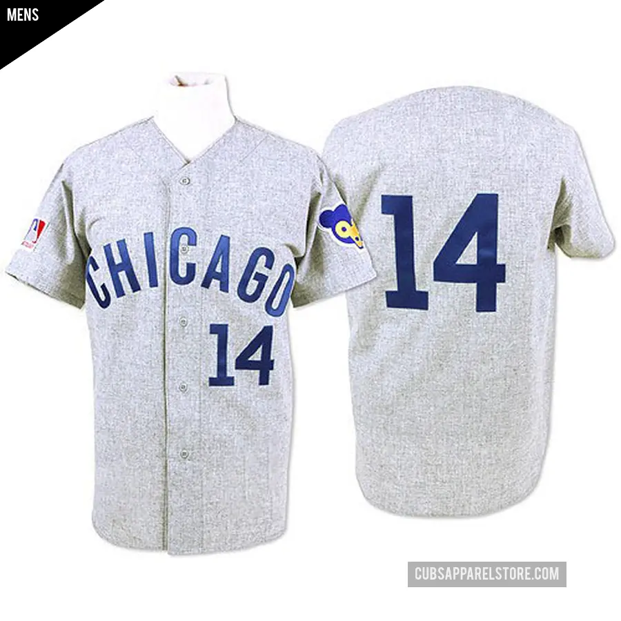 Men's Chicago Cubs ＃14 Ernie Banks Authentic Grey Throwback Jersey