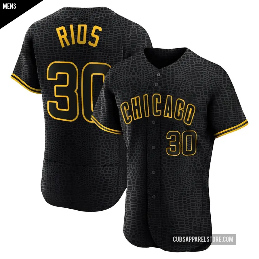 Men's Chicago Cubs ＃30 Edwin Rios Authentic Black Snake Skin City Jersey